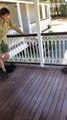 Snake on a Deck Rescues Himself