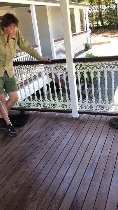 Snake on a Deck Rescues Himself