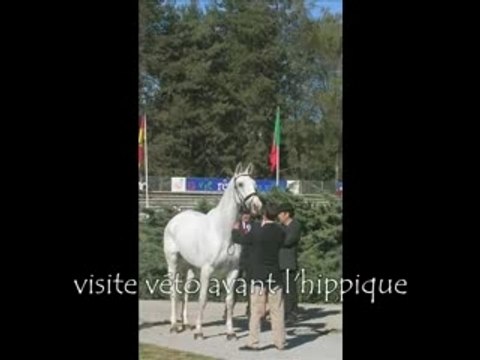 Les étoiles de Pau - PARTIE 3