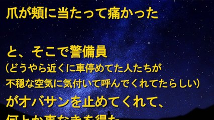 キチ　修羅場　私「どうしたんですか？」オバサン「鍵を中に入れたまま鍵閉めちゃったのよ～」私「車間違えてません？」→次の瞬間、オバサンが目の色変えて・・・