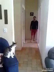 Coolest video guy fist pump with his cat_ deco - pussycat