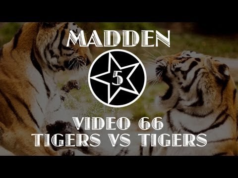 NCAA 14 ONLINE RANKED MATCH - TIGERS VS TIGERS VS TIGERS VS TIGERS