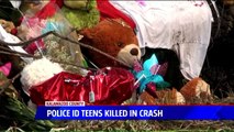 Five Michigan Teens Identified in Fiery Fatal Crash