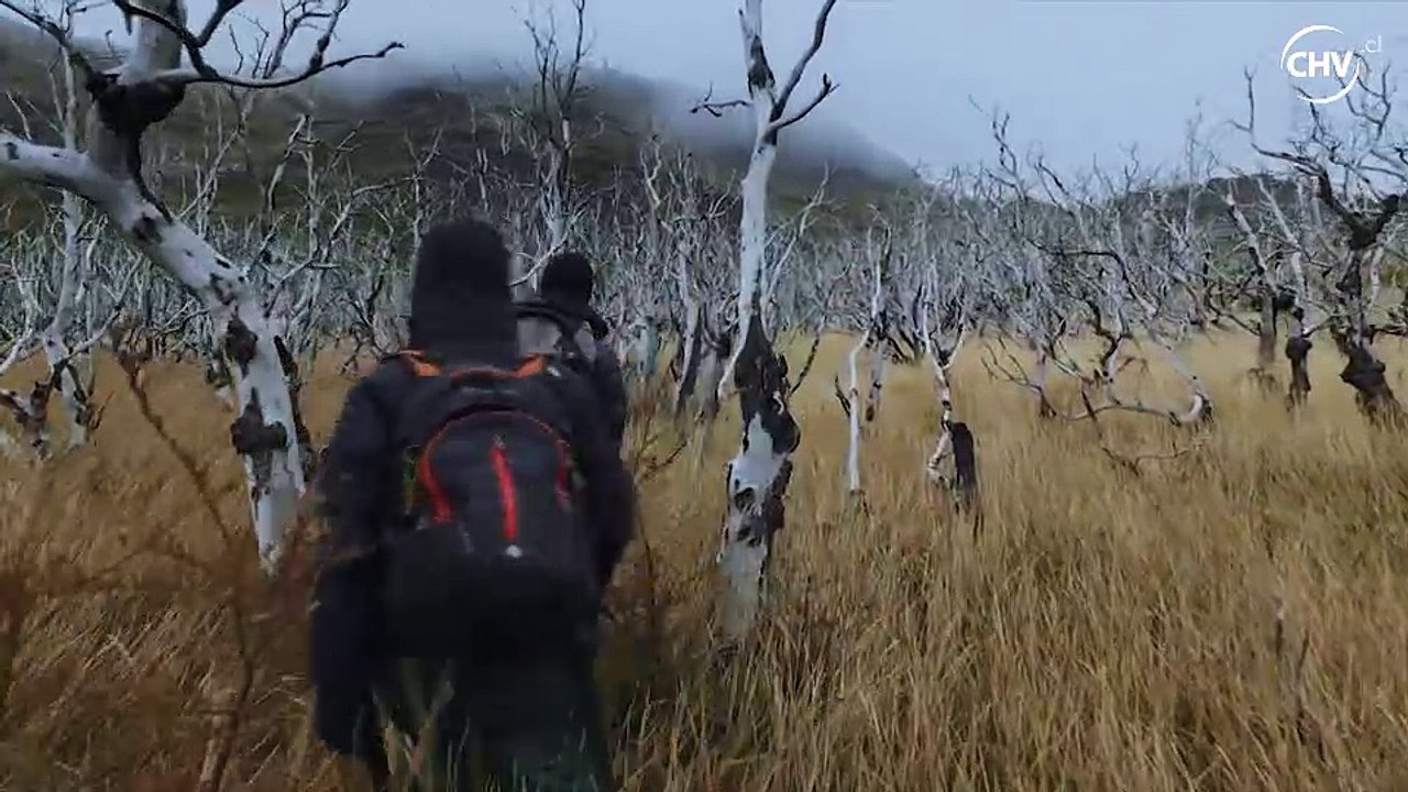 los incendios de torres del paine