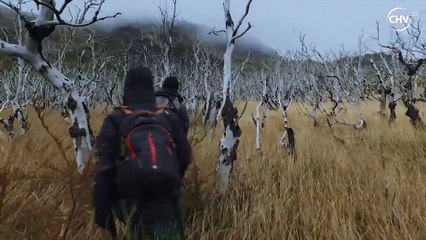 los incendios de torres del paine