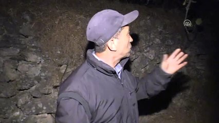 Orman Yangını Zeytinköy Mahallesi'nin Tamamına Yayıldı