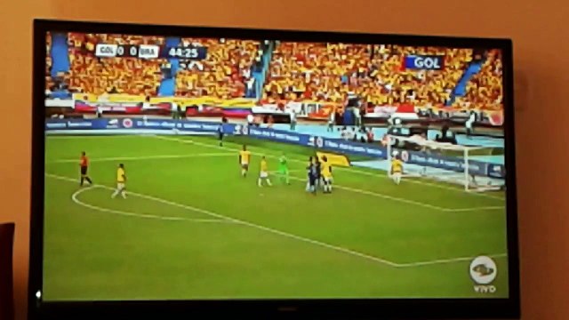 El perro del partido entre Colombia vs Brazil - Eliminatorias al mundial de Rusia - M.D.A REKORDS
