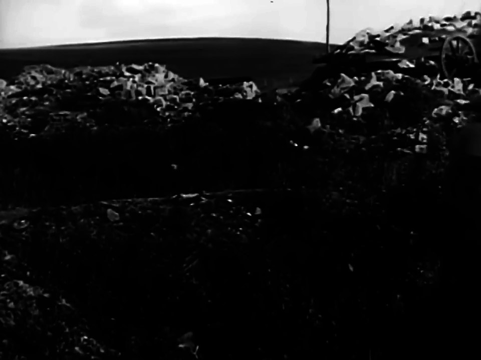 Army Medicine ~ 1960; Army Medical Corps Doctors