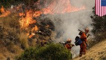Kebakaran terbesar dalam sejarah di Los Angeles - TomoNews