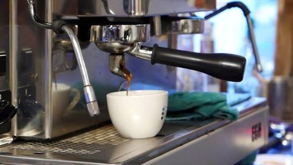 ร้านกาแฟ - กาแฟสด ศิลปะบนถ้วยกาแฟ (ทำเป็นรูป ยีราฟ, สิงโตทะเล, ปลาหมึกยักษ์, ปลาฉลาม)