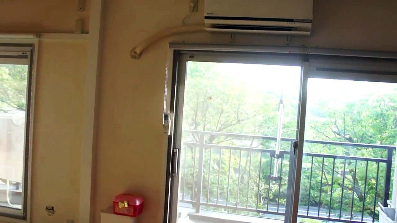 ドッキリ！セミが二匹部屋に入ってきた！ケンカ勃発！激怒 お父さんこっち持ってこないで～ ふたりはなかよし♪-u8WEHNEKB4o