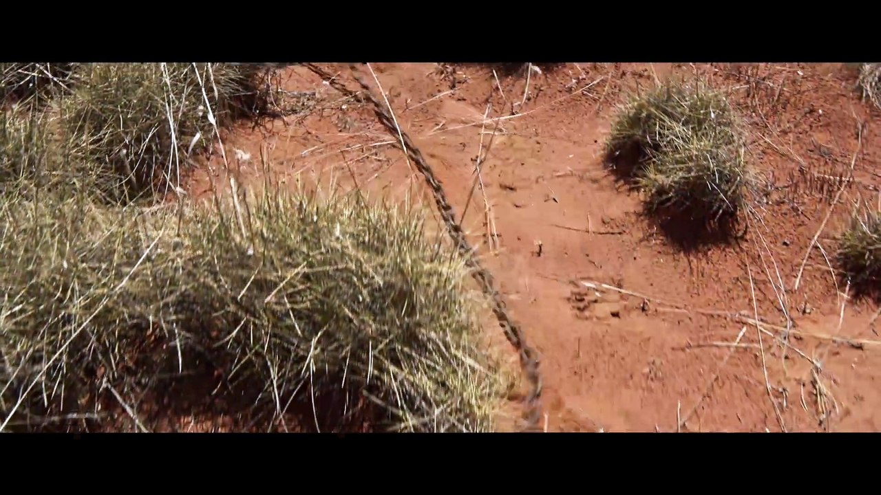 Sweet Country