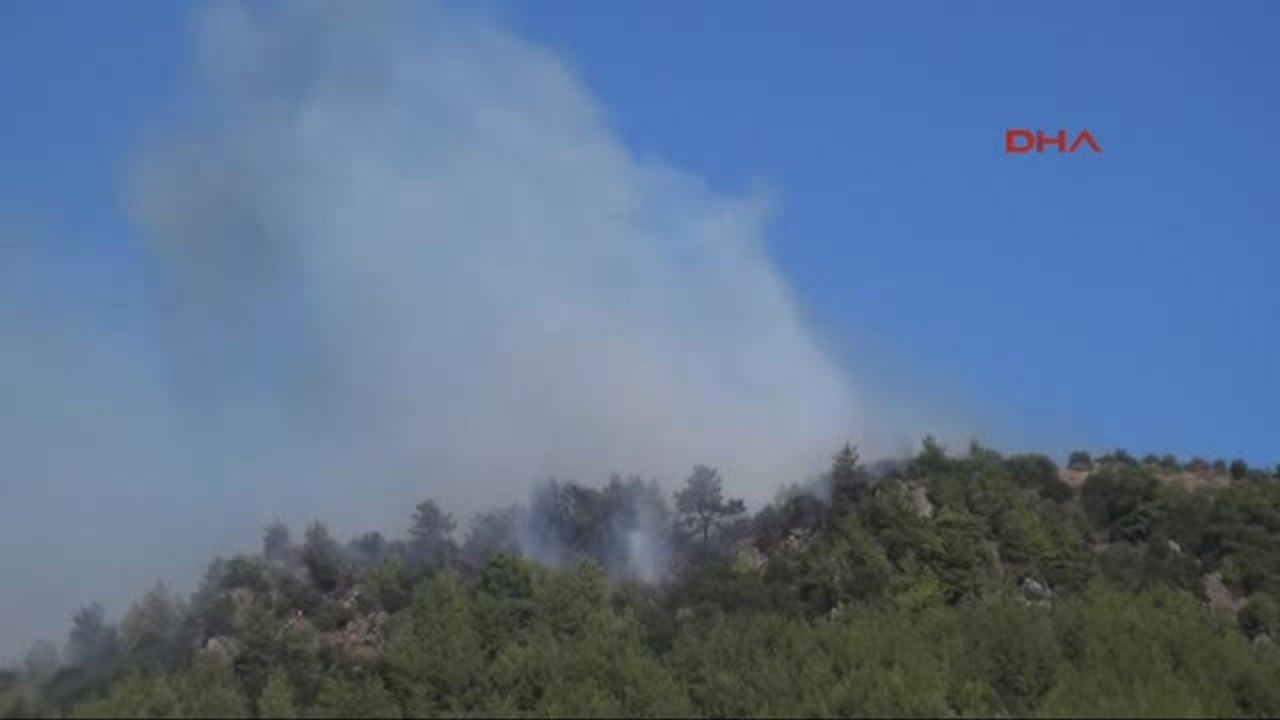 Antalya'da Ormanlık Alanda Yangın