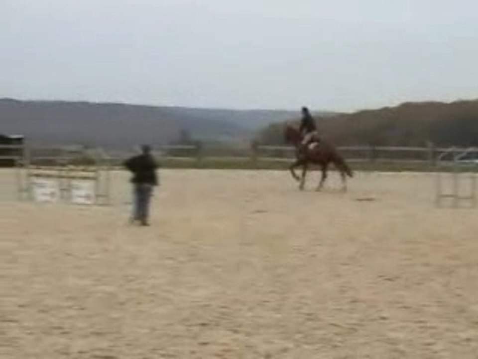Purple entrainement oxers