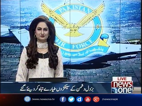 Honouring heroes: PAF observes Martyrs' Day