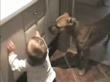 Un chien bien dréssé