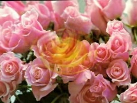 GRUP TURKU-SEN VARYA SEN