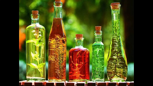 ТОП самых полезных видов растительного масла