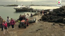 Iles-Chausey: La magie - Cherbourg Bretagne Télé