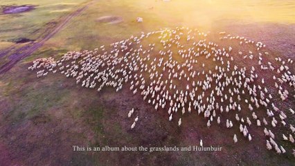 The Grasslands Ensemble & Daniel Ho《Between the Sky & Prairie》Album production special