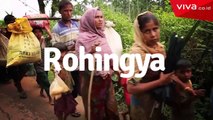 Memilukan! Eksodus Etnis Rohingya Diatas Lumpur