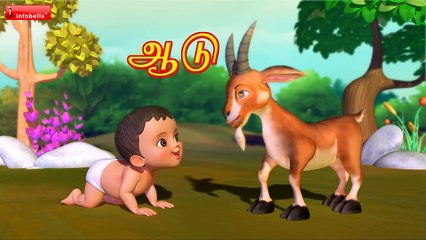 அ சொல்லலாம் | Tamil Rhymes for Children | Infobells