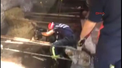 Denizli Foseptik Kuyusuna Düşen Eşeği İtfaiye Kurtardı