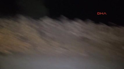 Muğla'da Orman Yangını 2