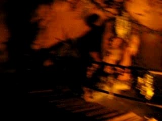 Europa Park with Pika