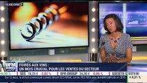 Idées de placements: La foire aux vins, un événement stratégique pour le secteur viticole - 07/09