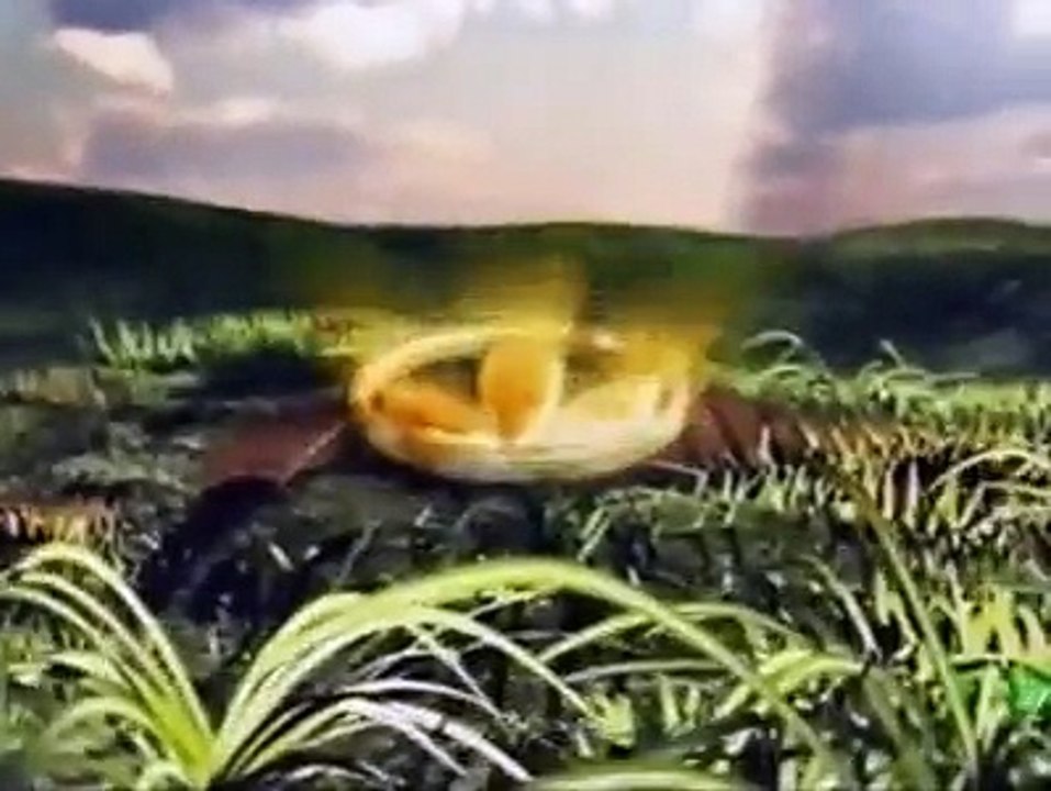 adim-adim-herbalifegelisimi-