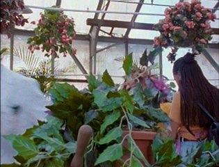 Power Rangers - 4x11 - A Few Bad Seeds