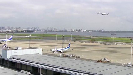 Un oiseau percute un avion au décollage et provoque des flammes dans l'avion