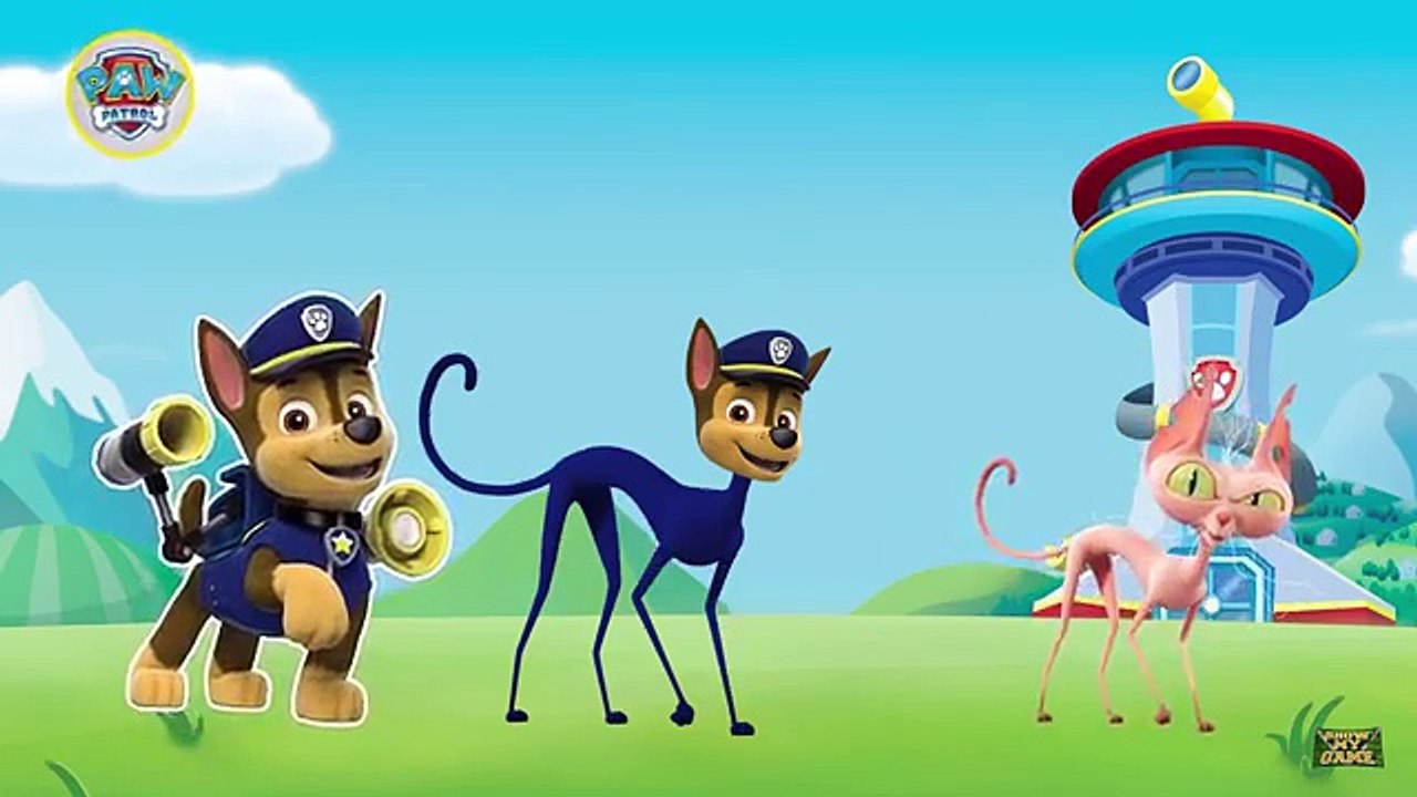 Paw Patrol Transforms Into Mickey Mouse Clubhouse Finger Family Nursery Rhymes Songs for c