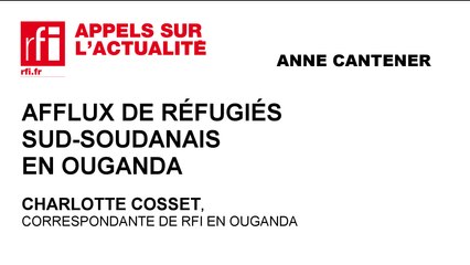 La révision constitutionnelle suspendue au Mali