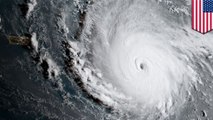 颶風分級制度　TomoNews說分明