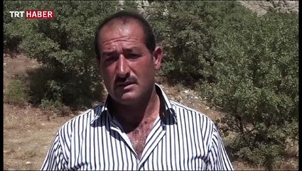 Asırlık mağarada peynir saklama geleneği