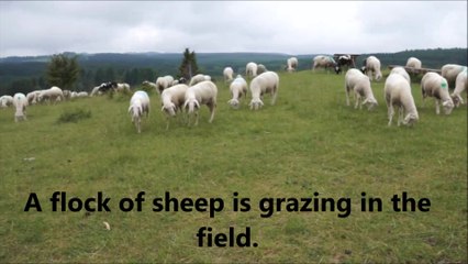 Learn 5 words a day  -  Action Verbs