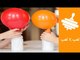 How to blow up a balloon with vinegar and baking soda |  تجربة نفخ بالون بالخل