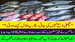 How come fish is always Halal Is there a scientific reason