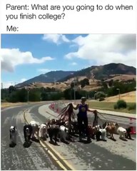 parent what are you going yo do when you finish college