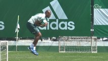 Jailson inicia trabalho com bola no Palmeiras; assista!