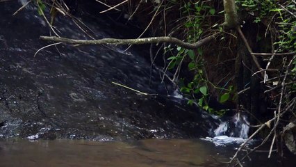 Rock or stone is a natural substance, a solid aggregate of one or more minerals or mineraloids