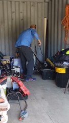 Huge Eastern Brown Snake in Storage Container