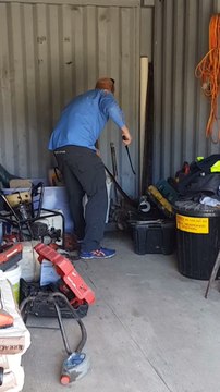 Huge Eastern Brown Snake in Storage Container