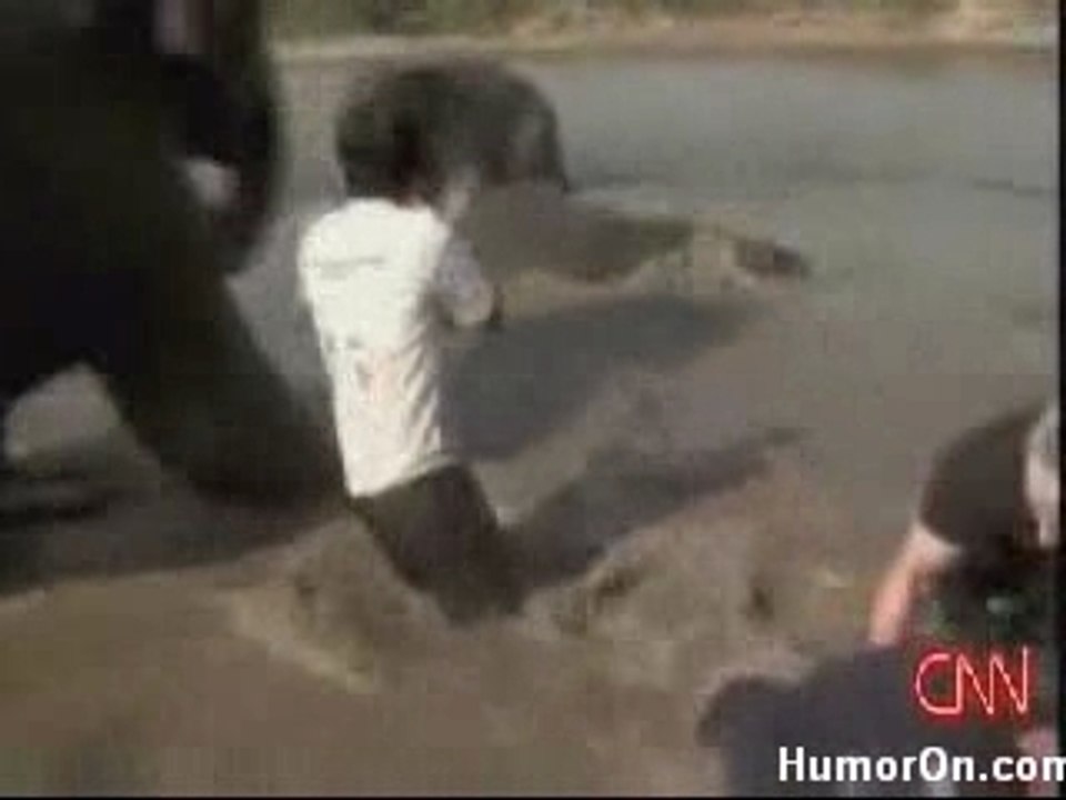 Elephant_attack[1]