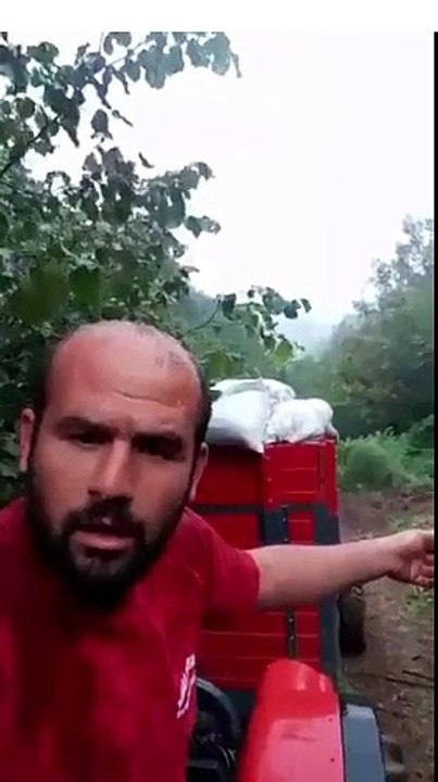 Fındık üreticisinin isyanı: O 2019 gelecek