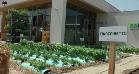 Aversa (CE) - Fresca24, frutta e verdura di stagione entro 24 ore dal raccolto (08.09.17)