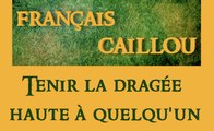 Français caillou/ Définition du jour: 