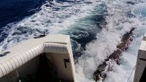 Quand un lion de mer grimpe à bord du bateau pour manger du poisson